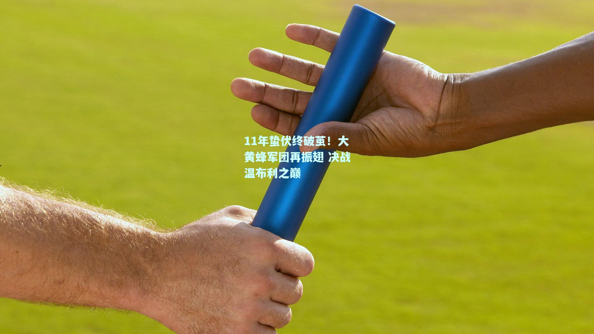 11年蛰伏终破茧！大黄蜂军团再振翅 决战温布利之巅